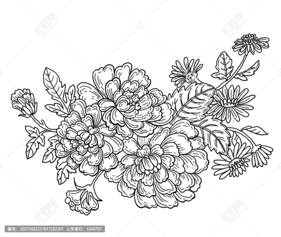 牡丹與菊花