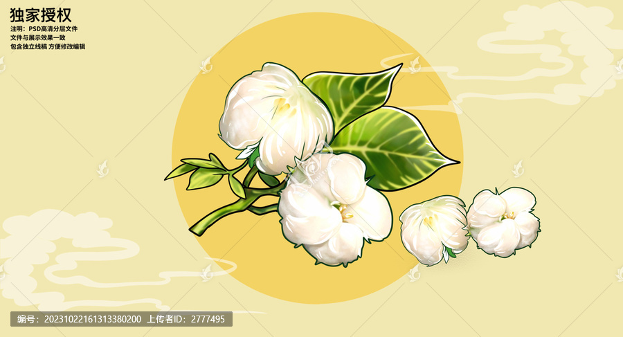 棉花插畫