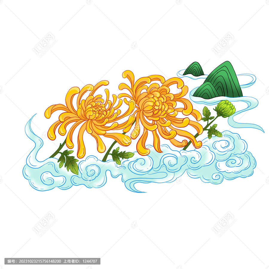 菊花