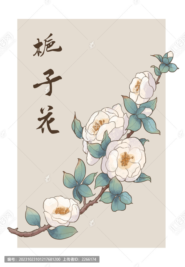 梔子花
