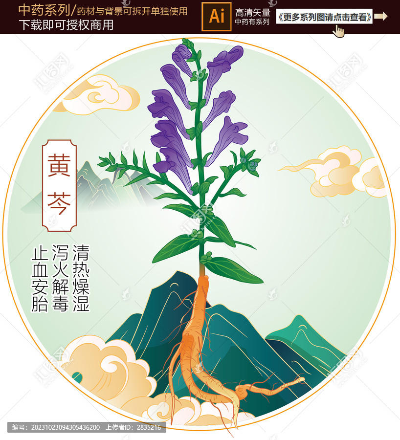 黃芩