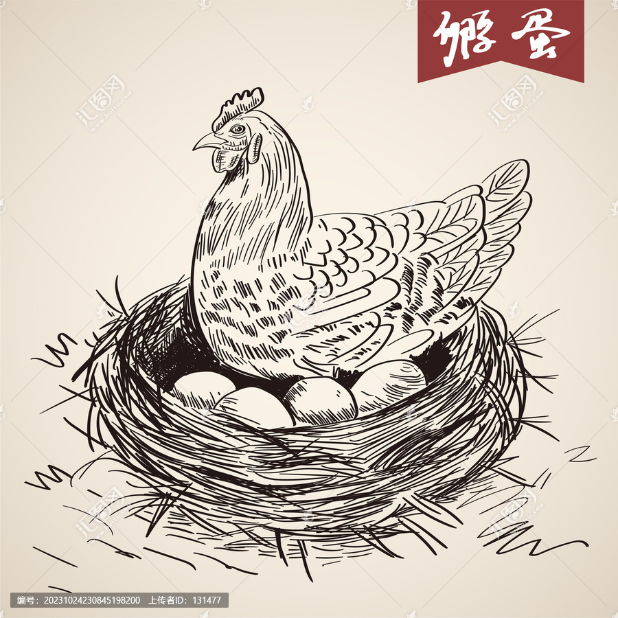 母雞孵蛋