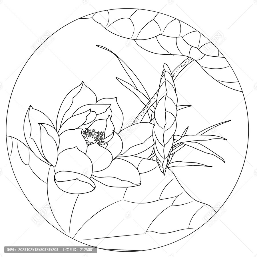 荷塘荷花國潮矢量手繪白描線稿