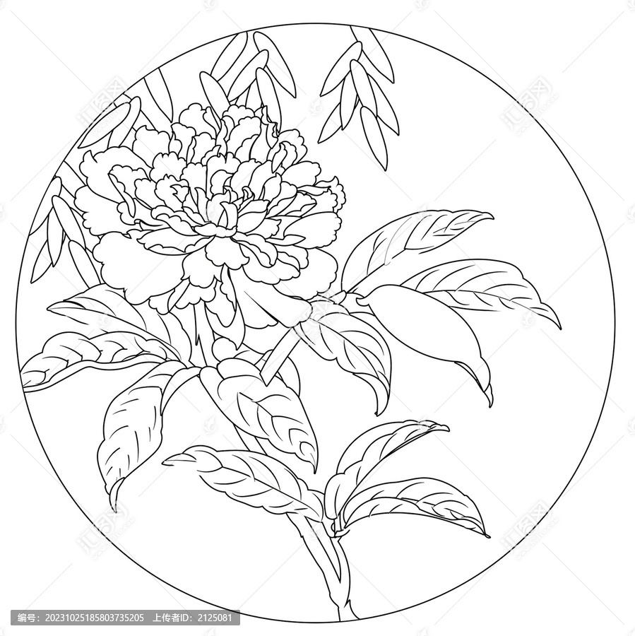 富貴牡丹國(guó)潮矢量手繪白描線稿