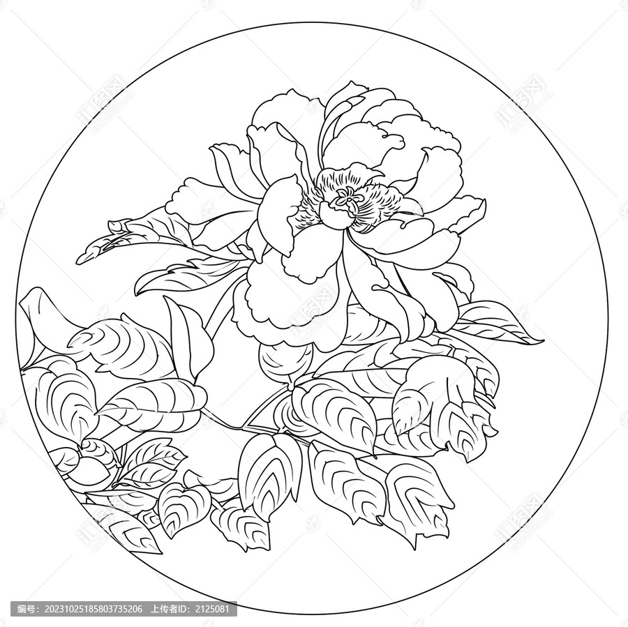 牡丹花圖國潮矢量手繪白描線稿