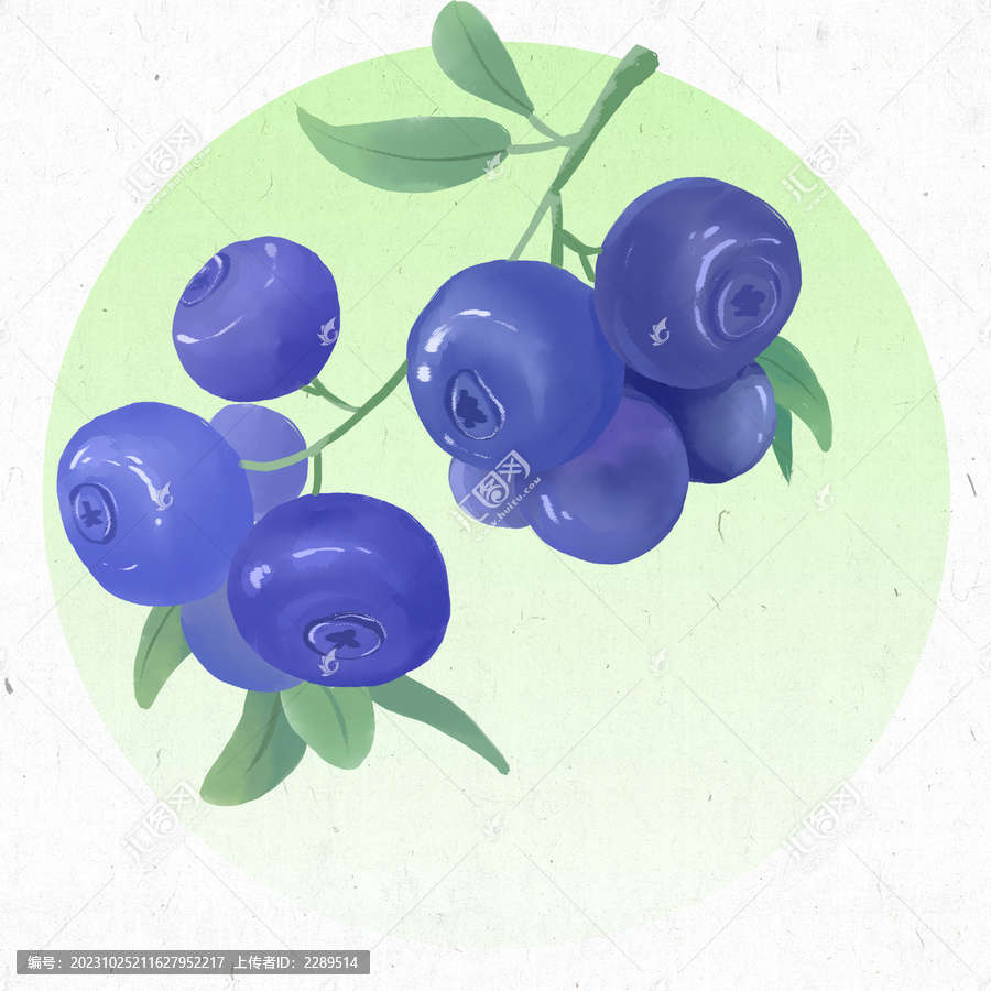 蓝莓谷雨24节气插画