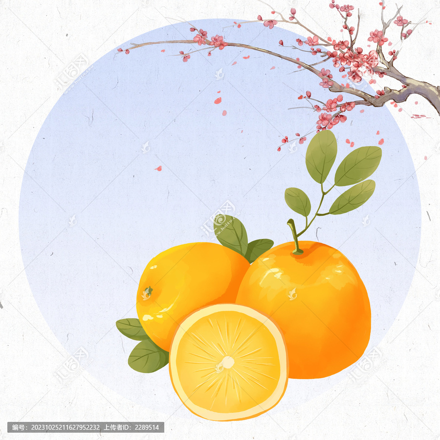橙子小雪24节气插画