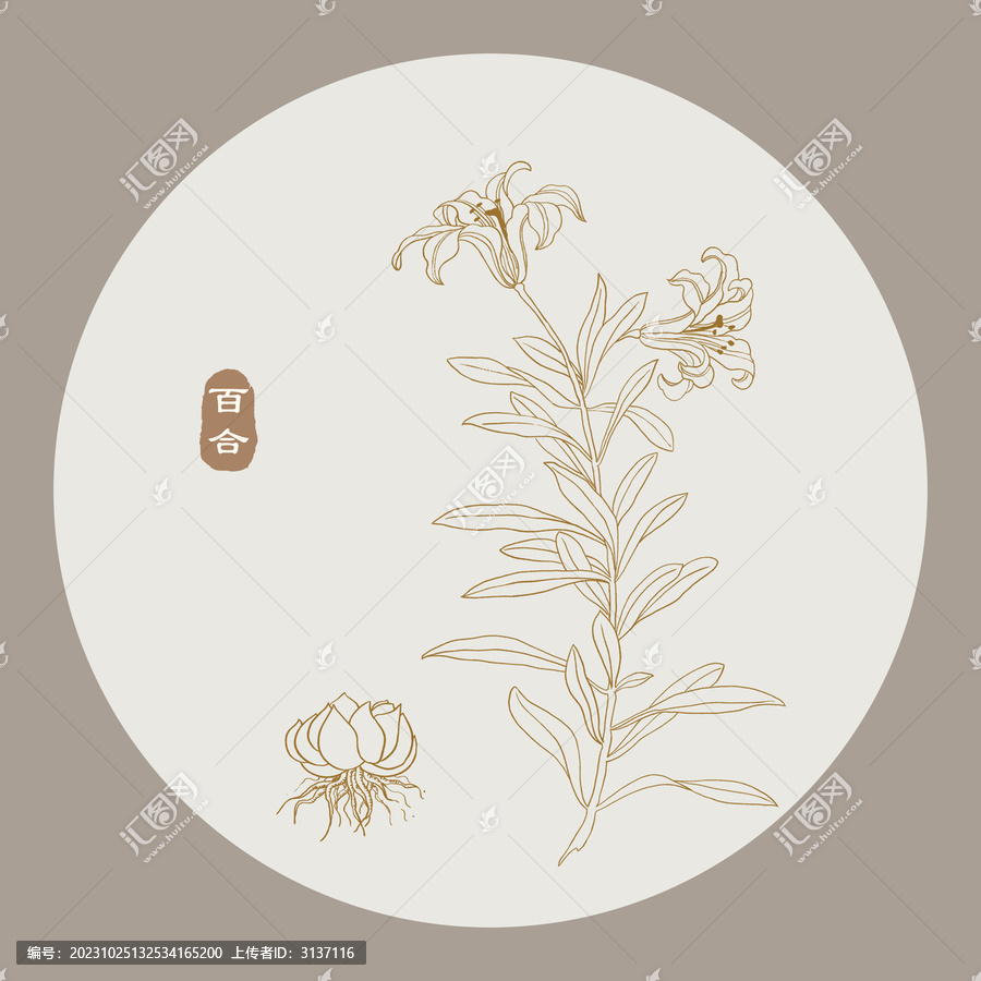 百合線描