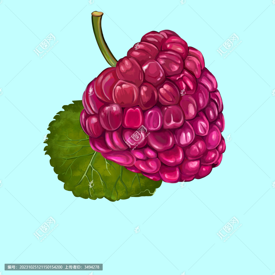 野生草莓插畫