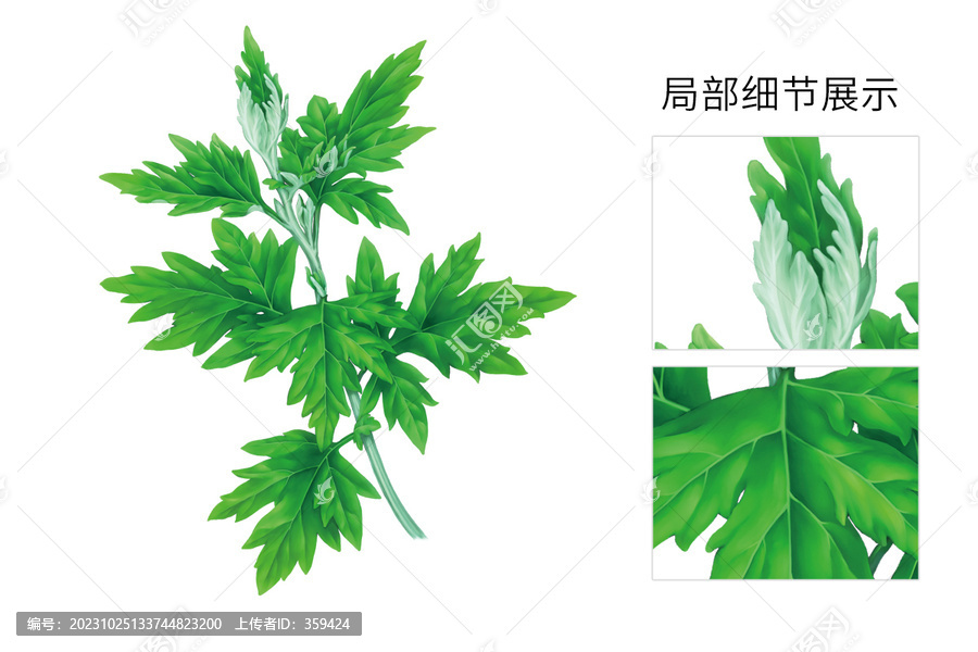 手繪艾草