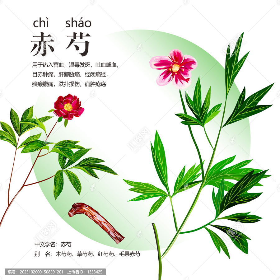 赤芍