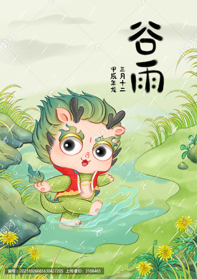 谷雨龍寶在草地的水洼中踢水