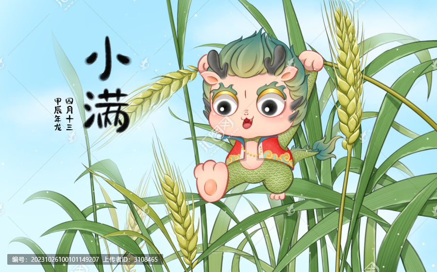 小滿龍寶在綠色的小麥地里玩