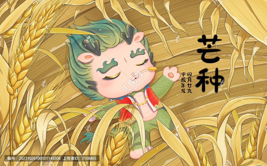 芒種龍寶躺在金色的小麥地里
