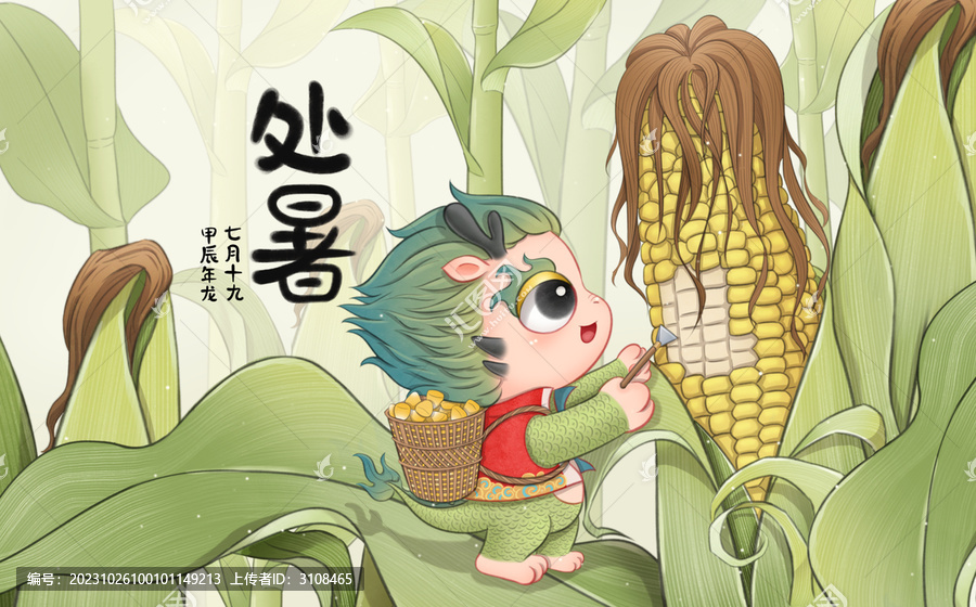 處暑龍寶在玉米地里摘玉米