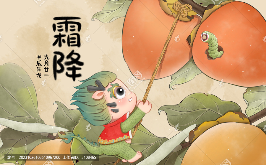 霜降節(jié)氣龍寶在摘柿子