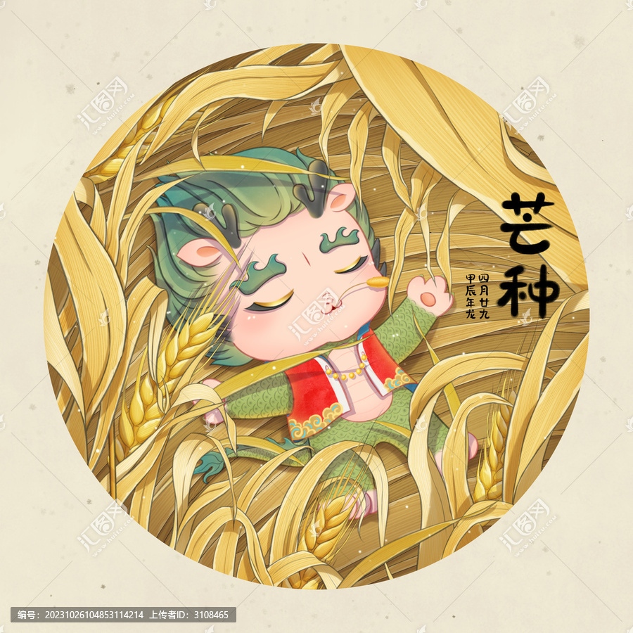 芒種龍寶躺在金色的小麥地里