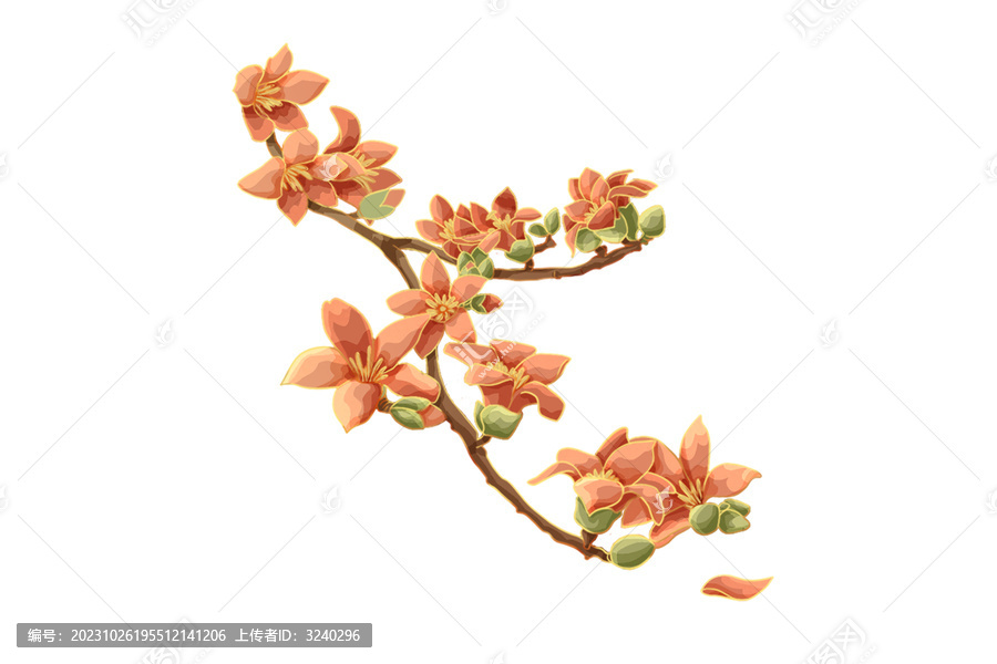 木棉花免摳素材