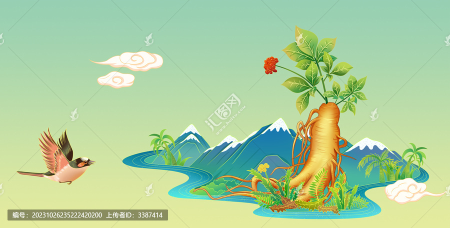 中國風人參手繪插畫
