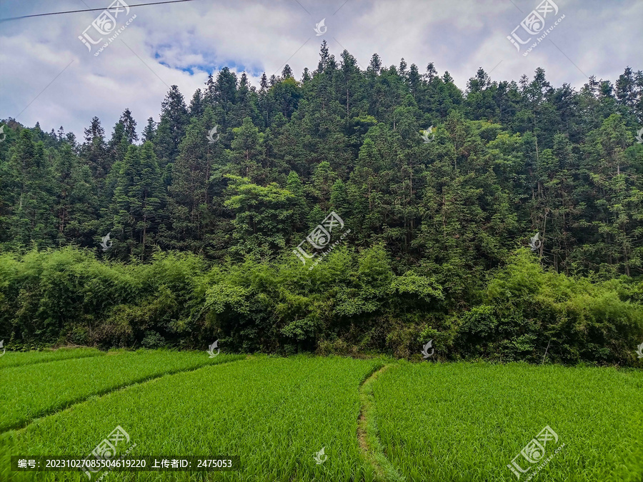 田野风光