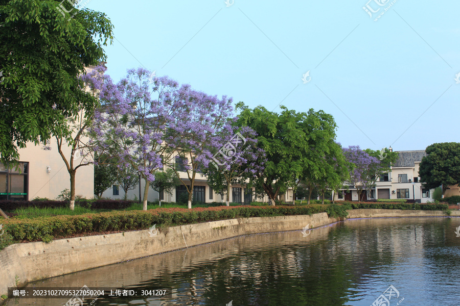 易家河坝风光