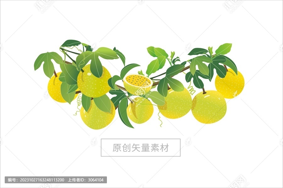 百香果欽蜜9號