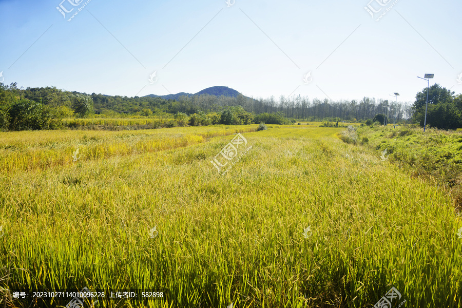 田园风光