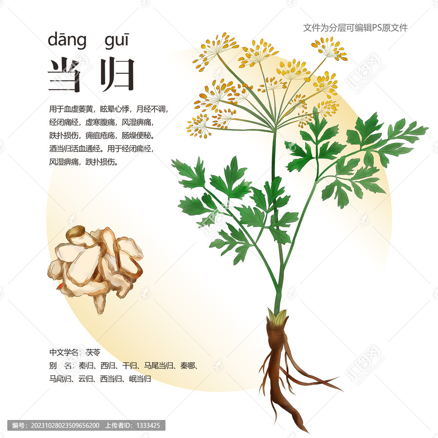 當(dāng)歸