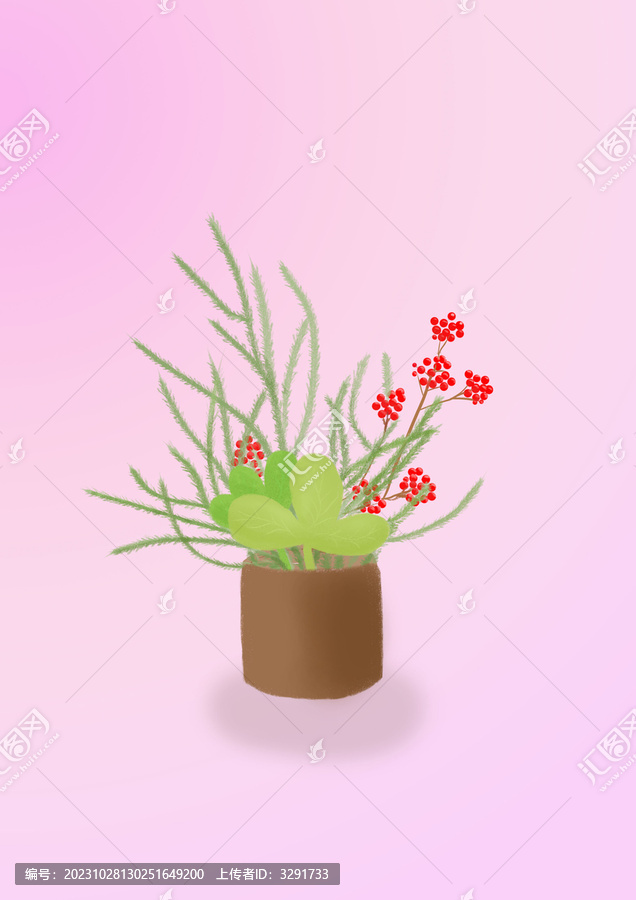 綠色植物小盆栽