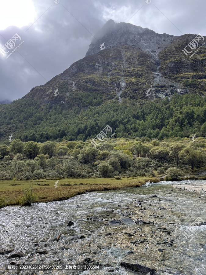 高山草甸溪流