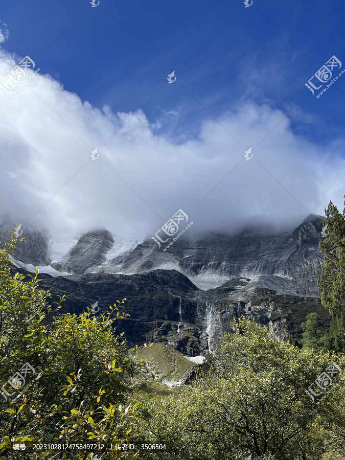 高山植被