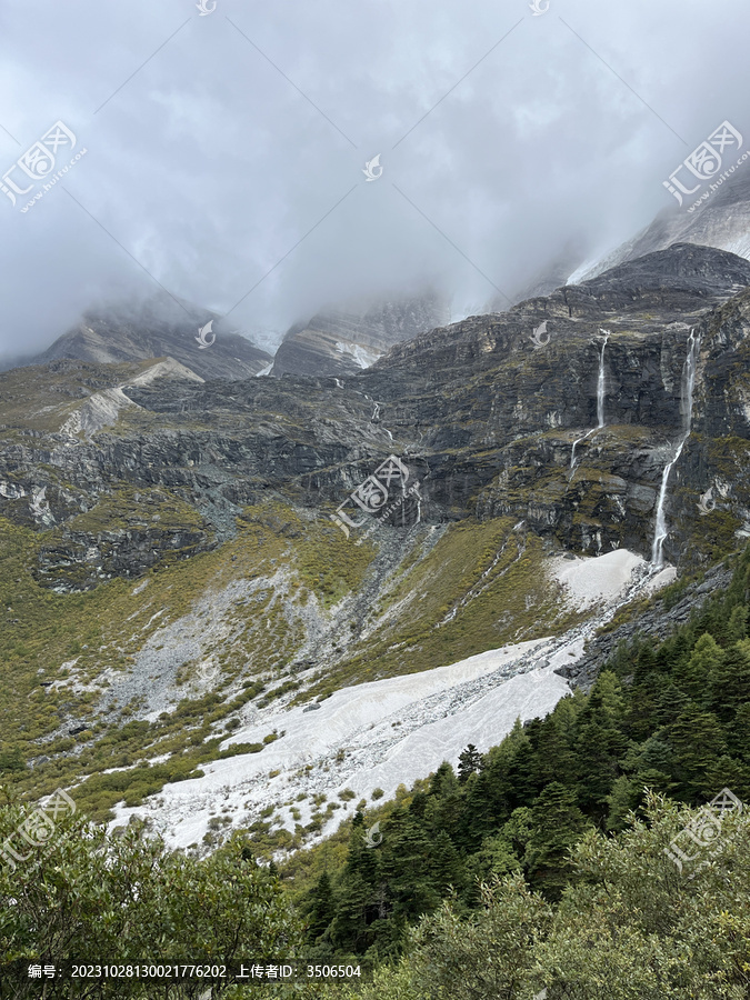 高山植被