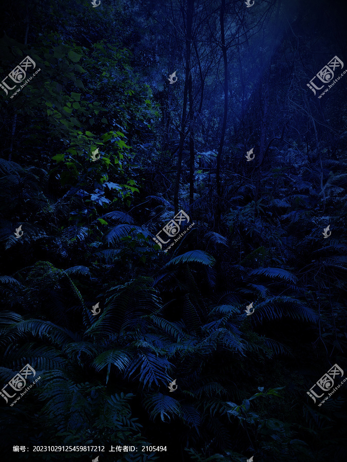 夜色丛林森林植被