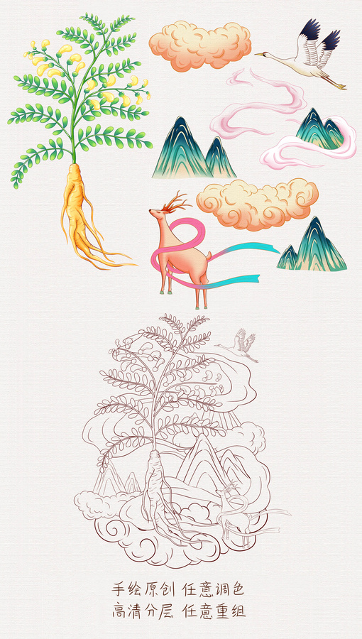 黃芪插畫手繪