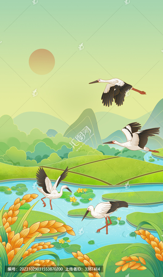 濕地大米手繪插畫(huà)
