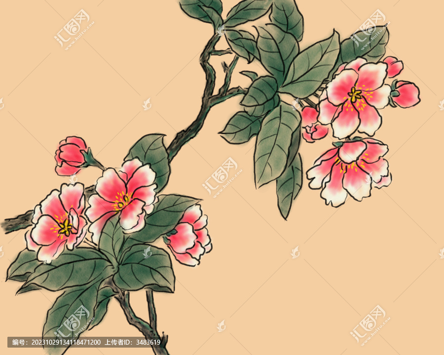 花朵