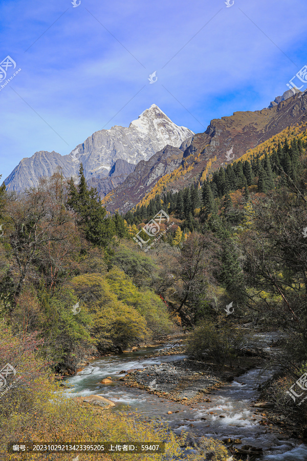 四姑娘山长坪沟秋色