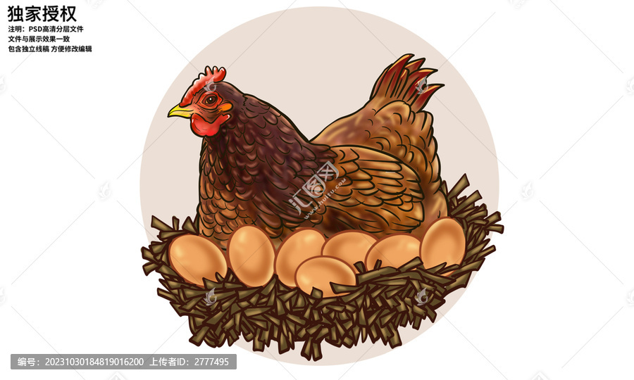 農(nóng)家笨雞蛋插畫