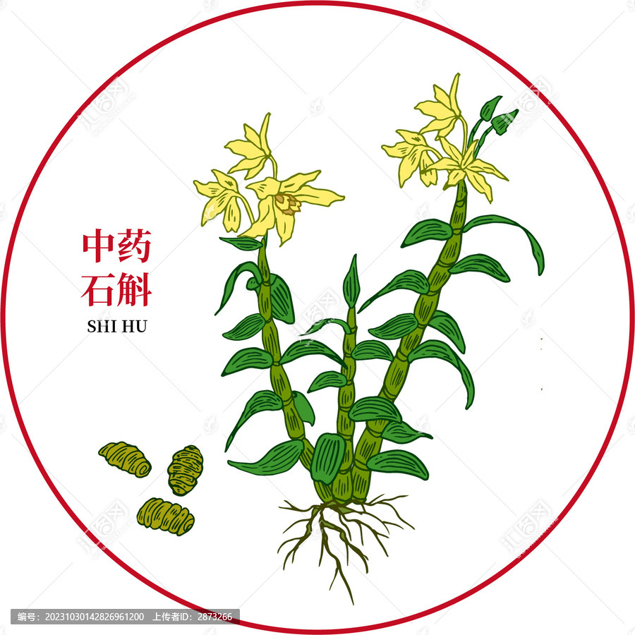 鐵皮石斛