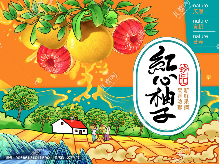 紅心柚子包裝設(shè)計(jì)