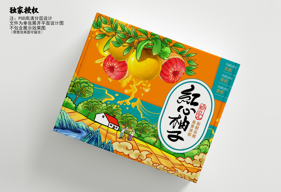 紅心柚子包裝設(shè)計(jì)