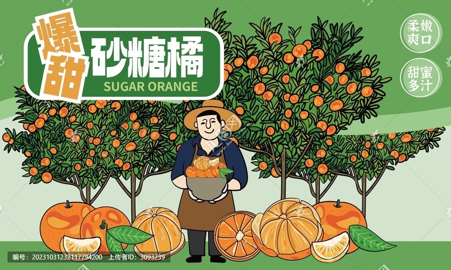 砂糖橘插畫包裝