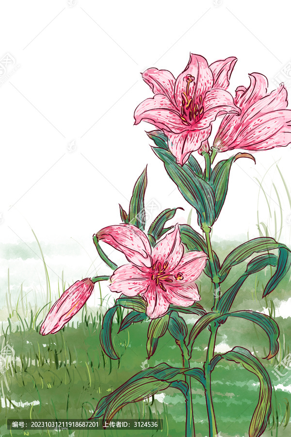 國(guó)風(fēng)花卉植物背景插畫(huà)百合
