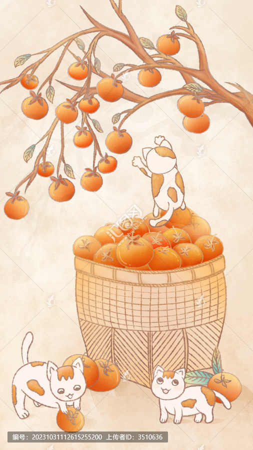 手繪秋收柿子水果包裝插畫