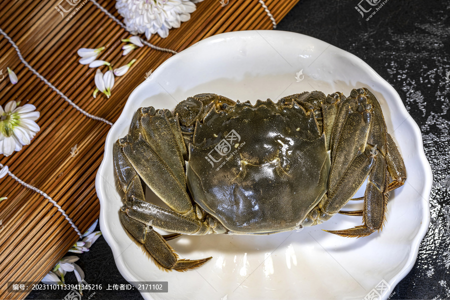 阳澄湖大闸蟹