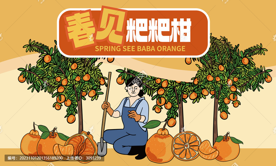 春見粑粑柑插畫包裝