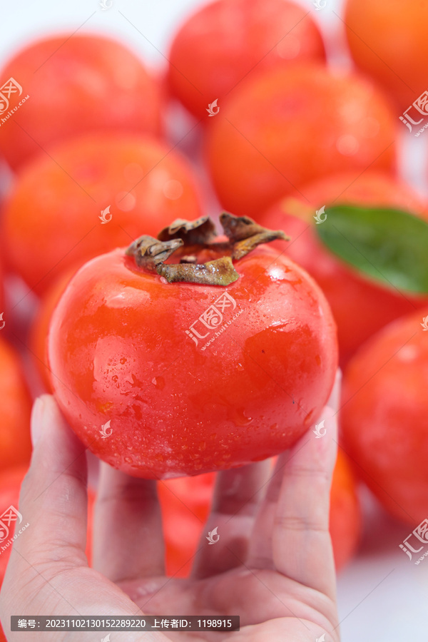 火晶柿子软柿子
