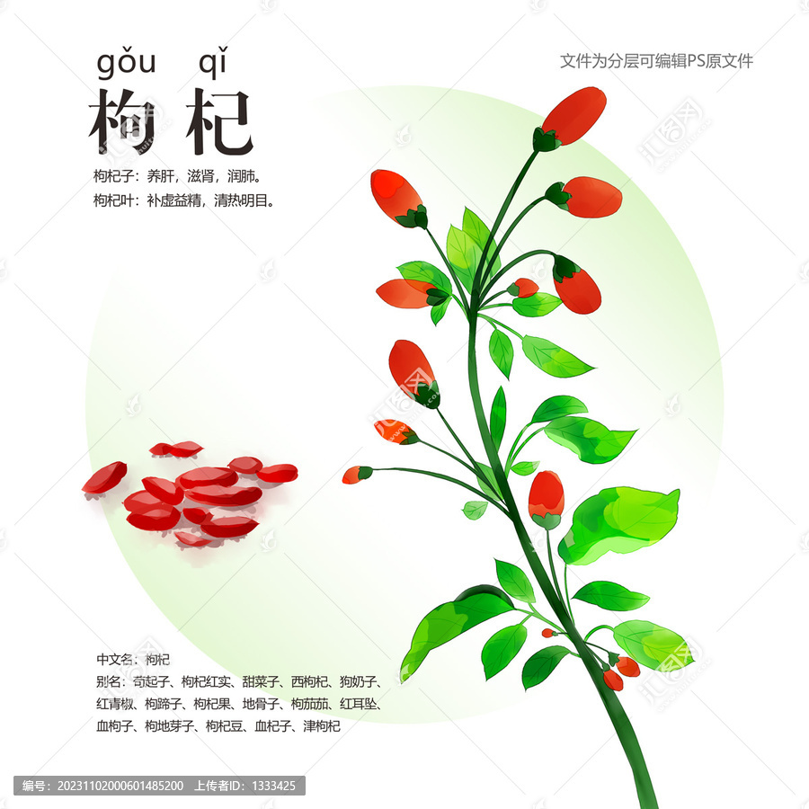 枸杞