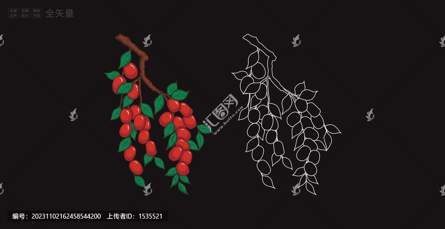紅棗線稿冬棗插畫白描圖