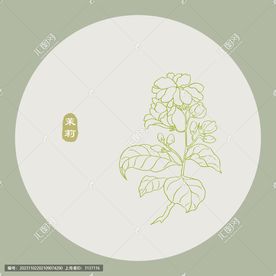茉莉花